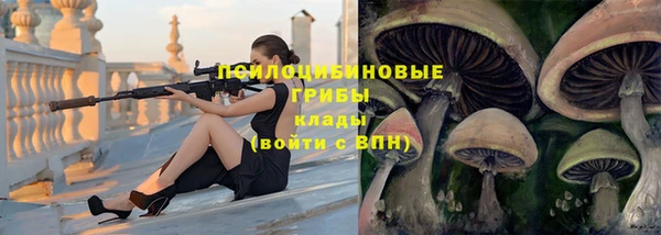спайс Алексеевка