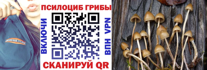 Галлюциногенные грибы прущие грибы  ОМГ ОМГ маркетплейс  Лобня 